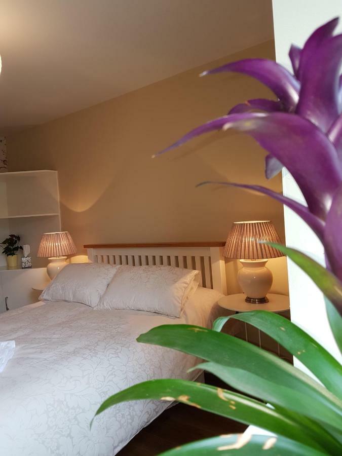科克Glenbower House公寓 外观 照片